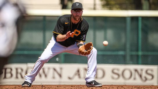 Todd Frazier designated for assignment taken at PNC Park (Pirates)